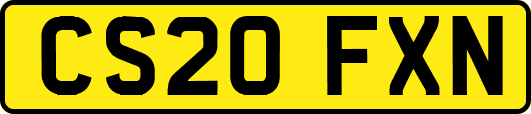 CS20FXN