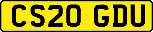 CS20GDU