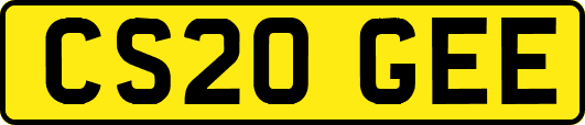 CS20GEE