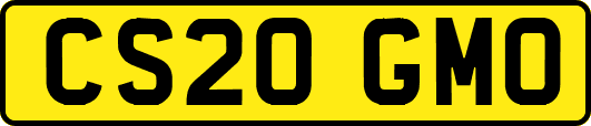 CS20GMO