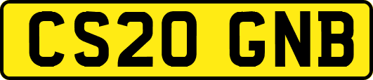 CS20GNB