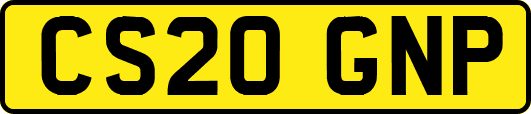 CS20GNP