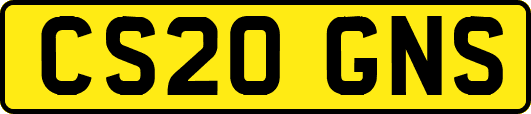 CS20GNS