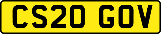 CS20GOV