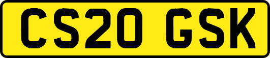 CS20GSK