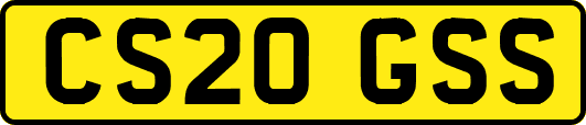 CS20GSS