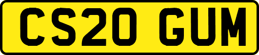 CS20GUM