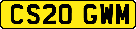 CS20GWM