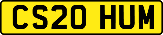 CS20HUM