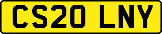 CS20LNY