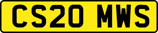 CS20MWS