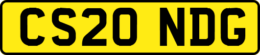 CS20NDG