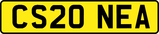 CS20NEA