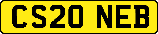 CS20NEB