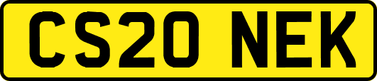 CS20NEK