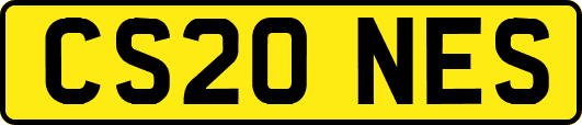 CS20NES