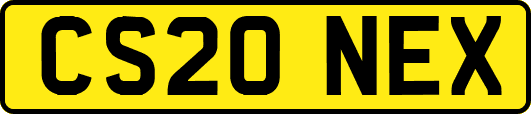 CS20NEX