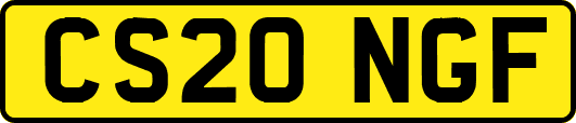 CS20NGF