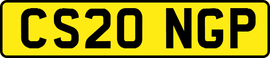 CS20NGP