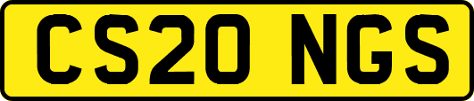 CS20NGS