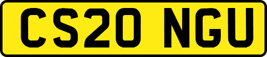 CS20NGU