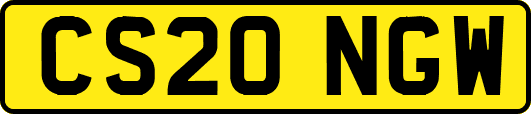 CS20NGW