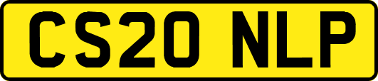 CS20NLP