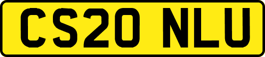 CS20NLU