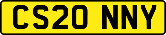 CS20NNY