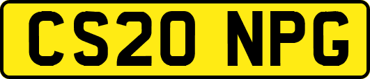 CS20NPG