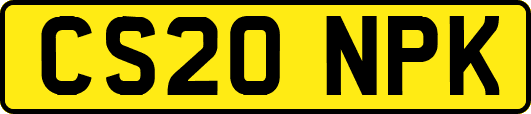 CS20NPK