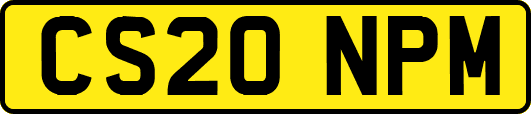 CS20NPM