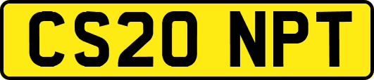 CS20NPT