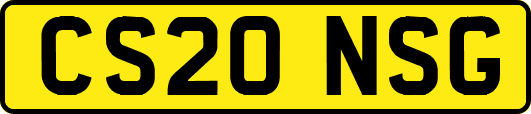 CS20NSG
