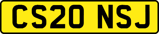 CS20NSJ