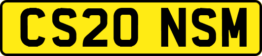 CS20NSM