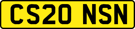CS20NSN