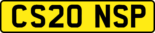 CS20NSP