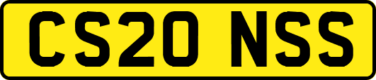 CS20NSS
