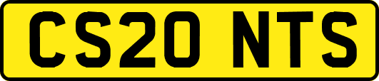CS20NTS