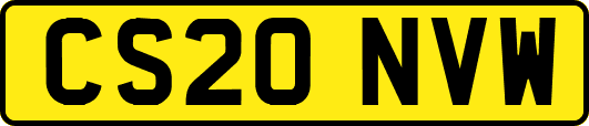 CS20NVW