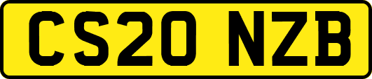 CS20NZB