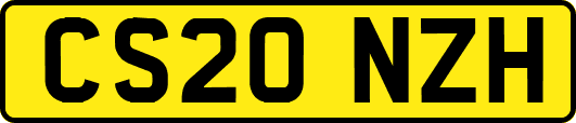 CS20NZH