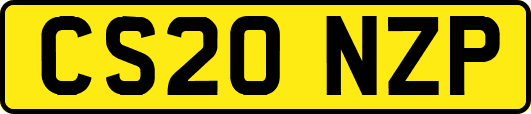 CS20NZP