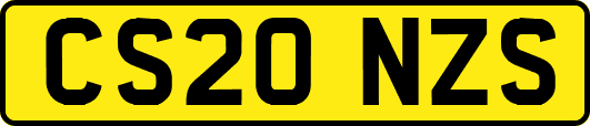 CS20NZS