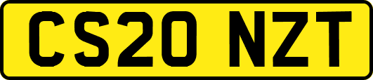 CS20NZT