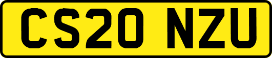 CS20NZU