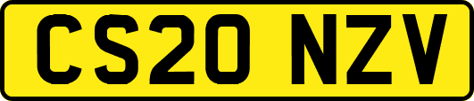 CS20NZV