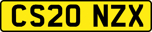 CS20NZX