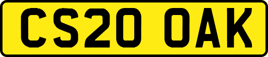 CS20OAK